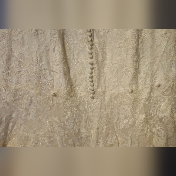 David's Bridal Jewel: Ivory Lace Trumpet Mermaid Sparkle Dress Size 14 - Picture 7 of 9